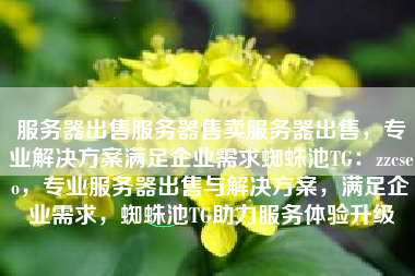 服务器出售服务器售卖服务器出售，专业解决方案满足企业需求蜘蛛池TG：zzcseo，专业服务器出售与解决方案，满足企业需求，蜘蛛池TG助力服务体验升级