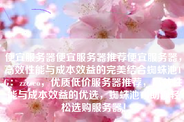 便宜服务器便宜服务器推荐便宜服务器，高效性能与成本效益的完美结合蜘蛛池TG：zzcseo，优质低价服务器推荐，高效性能与成本效益的优选，蜘蛛池TG助你轻松选购服务器！