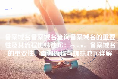 备案域名备案域名查询备案域名的重要性及其流程蜘蛛池TG：zzcseo，备案域名的重要性、查询流程与蜘蛛池TG详解