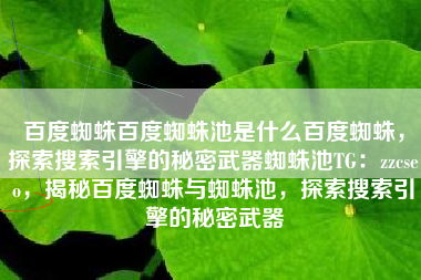 百度蜘蛛百度蜘蛛池是什么百度蜘蛛，探索搜索引擎的秘密武器蜘蛛池TG：zzcseo，揭秘百度蜘蛛与蜘蛛池，探索搜索引擎的秘密武器
