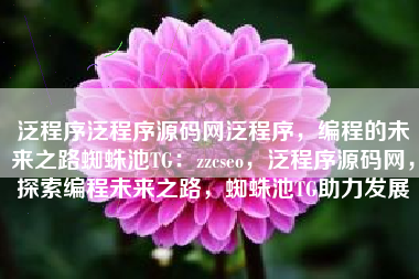 泛程序泛程序源码网泛程序,编程的未来之路蜘蛛池TG:zzcseo,泛程序源码网,探索编程未来之路,蜘蛛池TG助力发展 泛程序泛程序源码网泛程序,编程的未来之路蜘蛛池TG:zzcseo,泛程序源码网,探索编程未来之路,蜘蛛池TG助力发展