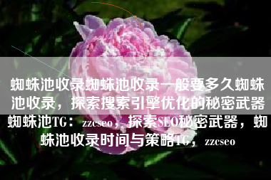 蜘蛛池收录蜘蛛池收录一般要多久蜘蛛池收录,探索搜索引擎优化的秘密武器蜘蛛池TG:zzcseo,探索SEO秘密武器,蜘蛛池收录时间与策略TG,zzcseo 蜘蛛池收录蜘蛛池收录一般要多久蜘蛛池收录,探索搜索引擎优化的秘密武器蜘蛛池TG:zzcseo,探索SEO秘密武器,蜘蛛池收录时间与策略TG,zzcseo