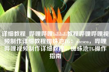 哔哩哔哩视频制作宝典——从入门到精通