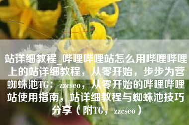 站详细教程_哔哩哔哩站怎么用哔哩哔哩上的站详细教程，从零开始，步步为营蜘蛛池TG：zzcseo，从零开始的哔哩哔哩站使用指南，站详细教程与蜘蛛池技巧分享（附TG，zzcseo）