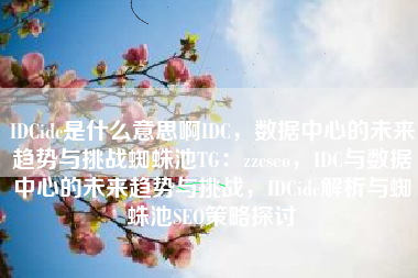 IDCidc是什么意思啊IDC，数据中心的未来趋势与挑战蜘蛛池TG：zzcseo，IDC与数据中心的未来趋势与挑战，IDCidc解析与蜘蛛池SEO策略探讨