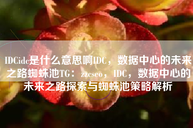 IDCidc是什么意思啊IDC，数据中心的未来之路蜘蛛池TG：zzcseo，IDC，数据中心的未来之路探索与蜘蛛池策略解析