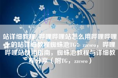 站详细教程_哔哩哔哩站怎么用哔哩哔哩上的站详细教程蜘蛛池TG：zzcseo，哔哩哔哩站使用指南，蜘蛛池教程与详细教程分享（附TG，zzcseo）