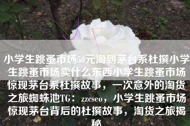 小学生跳蚤市场50元淘到茅台系杜撰小学生跳蚤市场卖什么东西小学生跳蚤市场惊现茅台系杜撰故事，一次意外的淘货之旅蜘蛛池TG：zzcseo，小学生跳蚤市场惊现茅台背后的杜撰故事，淘货之旅揭秘
