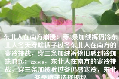 东北人在南方崩溃：穿3条加绒裤仍冷东北人冬天穿啥裤子过冬东北人在南方的寒冷挑战，穿三条加绒裤依旧感到冷蜘蛛池TG：zzcseo，东北人在南方的寒冷挑战，穿三条加绒裤过冬仍感寒冷，东北冬季裤子选择揭秘
