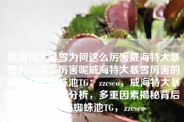 威海特大暴雪为何这么厉害威海特大暴雪为何这么厉害呢威海特大暴雪厉害的原因分析蜘蛛池TG：zzcseo，威海特大暴雪厉害的原因分析，多重因素揭秘背后的影响蜘蛛池TG，zzcseo