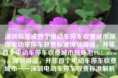 深圳辟谣成首个电动车停车收费城市深圳电动车停车收费标准深圳辟谣，并非首个电动车停车收费城市蜘蛛池TG：zzcseo，深圳辟谣，并非首个电动车停车收费城市——深圳电动车停车收费标准解析