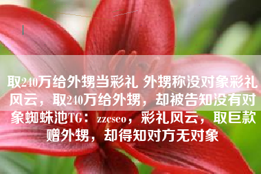 取240万给外甥当彩礼 外甥称没对象彩礼风云，取240万给外甥，却被告知没有对象蜘蛛池TG：zzcseo，彩礼风云，取巨款赠外甥，却得知对方无对象