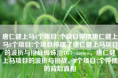 唐仁健上马8个项目7个项目停摆唐仁健上马8个项目7个项目停摆了唐仁健上马项目的波折与挑战蜘蛛池TG:zzcseo,唐仁健上马项目的波折与挑战,8个项目7个停摆的背后真相 唐仁健上马8个项目7个项目停摆唐仁健上马8个项目7个项目停摆了唐仁健上马项目的波折与挑战蜘蛛池TG:zzcseo,唐仁健上马项目的波折与挑战,8个项目7个停摆的背后真相