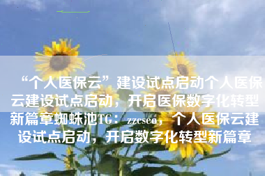 “个人医保云”建设试点启动个人医保云建设试点启动，开启医保数字化转型新篇章蜘蛛池TG：zzcseo，个人医保云建设试点启动，开启数字化转型新篇章