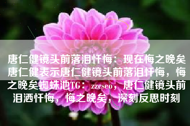 唐仁健镜头前落泪忏悔：现在悔之晚矣唐仁健表示唐仁健镜头前落泪忏悔，悔之晚矣蜘蛛池TG：zzcseo，唐仁健镜头前泪洒忏悔，悔之晚矣，深刻反思时刻