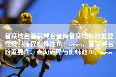 备案域名备案域名查询备案域名的重要性及其流程蜘蛛池TG：zzcseo，备案域名的重要性、查询流程与蜘蛛池TG，zzcseo