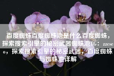 百度蜘蛛百度蜘蛛池是什么百度蜘蛛，探索搜索引擎的秘密武器蜘蛛池TG：zzcseo，探索搜索引擎的秘密武器，百度蜘蛛与蜘蛛池详解
