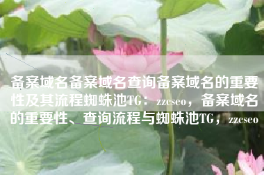 备案域名备案域名查询备案域名的重要性及其流程蜘蛛池TG：zzcseo，备案域名的重要性、查询流程与蜘蛛池TG，zzcseo