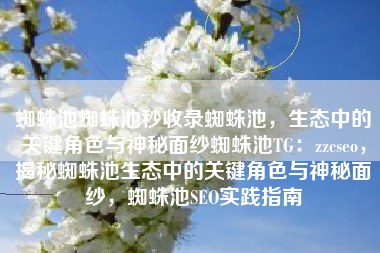 蜘蛛池蜘蛛池秒收录蜘蛛池，生态中的关键角色与神秘面纱蜘蛛池TG：zzcseo，揭秘蜘蛛池生态中的关键角色与神秘面纱，蜘蛛池SEO实践指南