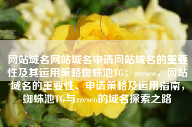 网站域名网站域名申请网站域名的重要性及其运用策略蜘蛛池TG：zzcseo，网站域名的重要性、申请策略及运用指南，蜘蛛池TG与zzcseo的域名探索之路