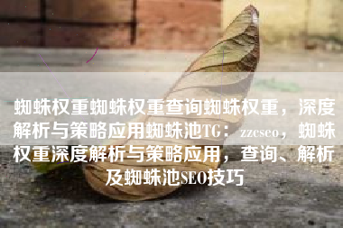 蜘蛛权重蜘蛛权重查询蜘蛛权重,深度解析与策略应用蜘蛛池TG:zzcseo,蜘蛛权重深度解析与策略应用,查询、解析及蜘蛛池SEO技巧 蜘蛛权重蜘蛛权重查询蜘蛛权重,深度解析与策略应用蜘蛛池TG:zzcseo,蜘蛛权重深度解析与策略应用,查询、解析及蜘蛛池SEO技巧