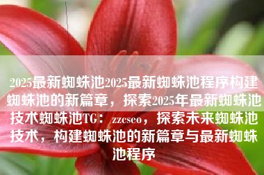 2025最新蜘蛛池2025最新蜘蛛池程序构建蜘蛛池的新篇章，探索2025年最新蜘蛛池技术蜘蛛池TG：zzcseo，探索未来蜘蛛池技术，构建蜘蛛池的新篇章与最新蜘蛛池程序