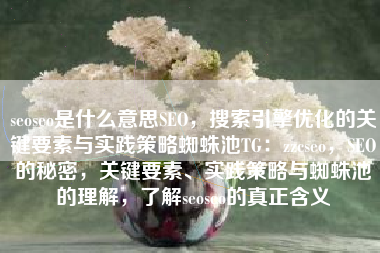 seoseo是什么意思SEO，搜索引擎优化的关键要素与实践策略蜘蛛池TG：zzcseo，SEO的秘密，关键要素、实践策略与蜘蛛池的理解，了解seoseo的真正含义