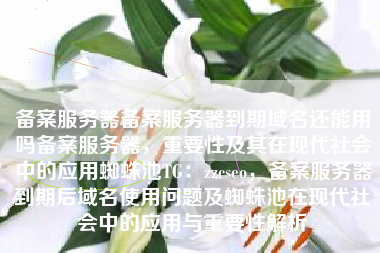 备案服务器备案服务器到期域名还能用吗备案服务器，重要性及其在现代社会中的应用蜘蛛池TG：zzcseo，备案服务器到期后域名使用问题及蜘蛛池在现代社会中的应用与重要性解析