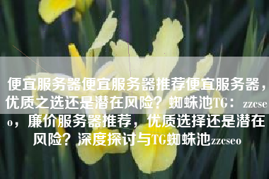 便宜服务器便宜服务器推荐便宜服务器，优质之选还是潜在风险？蜘蛛池TG：zzcseo，廉价服务器推荐，优质选择还是潜在风险？深度探讨与TG蜘蛛池zzcseo