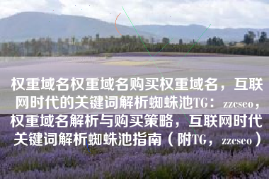 权重域名权重域名购买权重域名，互联网时代的关键词解析蜘蛛池TG：zzcseo，权重域名解析与购买策略，互联网时代关键词解析蜘蛛池指南（附TG，zzcseo）