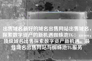 出售域名最好的域名出售网站出售域名,探索数字资产的新机遇蜘蛛池TG:zzcseo,顶级域名出售探索数字资产新机遇,最佳域名出售网站与蜘蛛池TG服务 出售域名最好的域名出售网站出售域名,探索数字资产的新机遇蜘蛛池TG:zzcseo,顶级域名出售探索数字资产新机遇,最佳域名出售网站与蜘蛛池TG服务