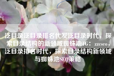 泛目录泛目录排名代发泛目录时代，探索目录结构的新领域蜘蛛池TG：zzcseo，泛目录排名时代，探索目录结构新领域与蜘蛛池SEO策略