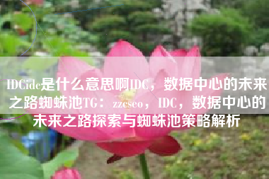 IDCidc是什么意思啊IDC,数据中心的未来之路蜘蛛池TG:zzcseo,IDC,数据中心的未来之路探索与蜘蛛池策略解析 IDCidc是什么意思啊IDC,数据中心的未来之路蜘蛛池TG:zzcseo,IDC,数据中心的未来之路探索与蜘蛛池策略解析