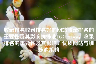 收录排名收录排名好的网站收录排名的重要性及其影响蜘蛛池TG：zzcseo，收录排名的重要性及其影响，优质网站与蜘蛛池策略