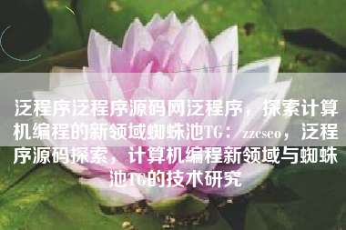 泛程序源码网，探索计算机编程新领域的先锋