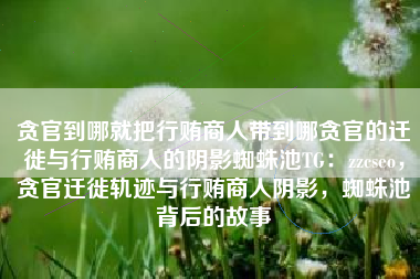 贪官到哪就把行贿商人带到哪贪官的迁徙与行贿商人的阴影蜘蛛池TG：zzcseo，贪官迁徙轨迹与行贿商人阴影，蜘蛛池背后的故事