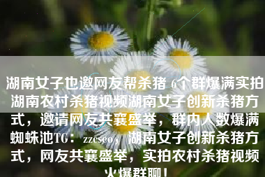 湖南女子也邀网友帮杀猪 6个群爆满实拍湖南农村杀猪视频湖南女子创新杀猪方式，邀请网友共襄盛举，群内人数爆满蜘蛛池TG：zzcseo，湖南女子创新杀猪方式，网友共襄盛举，实拍农村杀猪视频火爆群聊！
