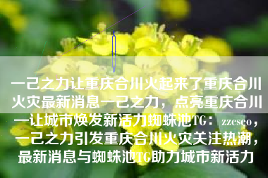 一己之力让重庆合川火起来了重庆合川火灾最新消息一己之力，点亮重庆合川—让城市焕发新活力蜘蛛池TG：zzcseo，一己之力引发重庆合川火灾关注热潮，最新消息与蜘蛛池TG助力城市新活力