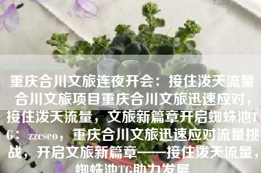 重庆合川文旅连夜开会:接住泼天流量合川文旅项目重庆合川文旅迅速应对,接住泼天流量,文旅新篇章开启蜘蛛池TG:zzcseo,重庆合川文旅迅速应对流量挑战,开启文旅新篇章——接住泼天流量,蜘蛛池TG助力发展