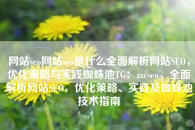 网站seo网站seo是什么全面解析网站SEO，优化策略与实践蜘蛛池TG：zzcseo，全面解析网站SEO，优化策略、实践及蜘蛛池技术指南