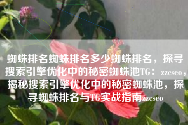 蜘蛛排名蜘蛛排名多少蜘蛛排名，探寻搜索引擎优化中的秘密蜘蛛池TG：zzcseo，揭秘搜索引擎优化中的秘密蜘蛛池，探寻蜘蛛排名与TG实战指南zzcseo