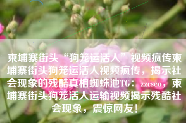 柬埔寨街头“狗笼运活人”视频疯传柬埔寨街头狗笼运活人视频疯传，揭示社会现象的残酷真相蜘蛛池TG：zzcseo，柬埔寨街头狗笼活人运输视频揭示残酷社会现象，震惊网友！
