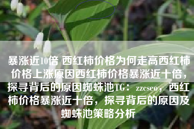 暴涨近10倍 西红柿价格为何走高西红柿价格上涨原因西红柿价格暴涨近十倍，探寻背后的原因蜘蛛池TG：zzcseo，西红柿价格暴涨近十倍，探寻背后的原因及蜘蛛池策略分析
