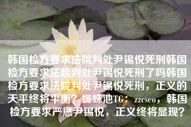 韩国检方要求法院判处尹锡悦死刑韩国检方要求法院判处尹锡悦死刑了吗韩国检方要求法院判处尹锡悦死刑，正义的天平终将平衡？蜘蛛池TG：zzcseo，韩国检方要求严惩尹锡悦，正义终将显现？