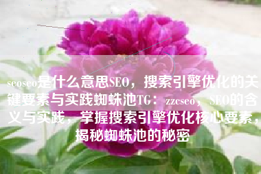 seoseo是什么意思SEO，搜索引擎优化的关键要素与实践蜘蛛池TG：zzcseo，SEO的含义与实践，掌握搜索引擎优化核心要素，揭秘蜘蛛池的秘密
