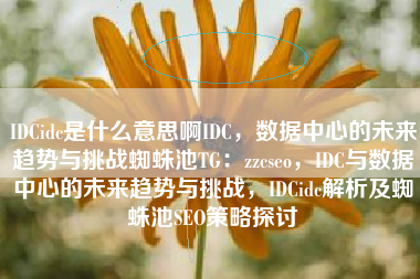 IDCidc是什么意思啊IDC，数据中心的未来趋势与挑战蜘蛛池TG：zzcseo，IDC与数据中心的未来趋势与挑战，IDCidc解析及蜘蛛池SEO策略探讨