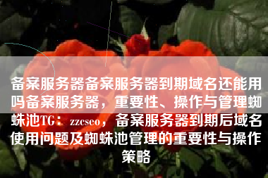 备案服务器备案服务器到期域名还能用吗备案服务器，重要性、操作与管理蜘蛛池TG：zzcseo，备案服务器到期后域名使用问题及蜘蛛池管理的重要性与操作策略