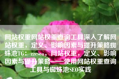网站权重网站权重查询工具深入了解网站权重，定义、影响因素与提升策略蜘蛛池TG：zzcseo，网站权重，定义、影响因素与提升策略——使用网站权重查询工具与蜘蛛池SEO实践