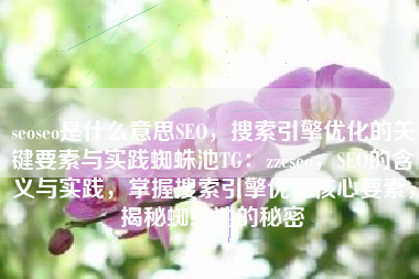 seoseo是什么意思SEO，搜索引擎优化的关键要素与实践蜘蛛池TG：zzcseo，SEO的含义与实践，掌握搜索引擎优化核心要素，揭秘蜘蛛池的秘密