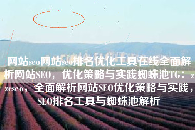 网站seo网站seo排名优化工具在线全面解析网站SEO，优化策略与实践蜘蛛池TG：zzcseo，全面解析网站SEO优化策略与实践，SEO排名工具与蜘蛛池解析